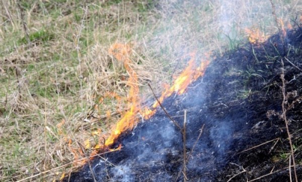 Возгорание лесной подстилки на Кадоше ликвидировано утром 15 декабря 