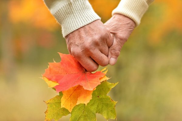1 октября – Международный день пожилого человека